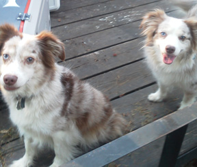 June and Nina